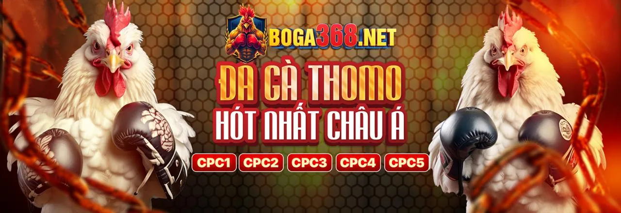 Email Hỗ Trợ new8869